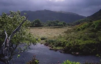 Cromaglan
