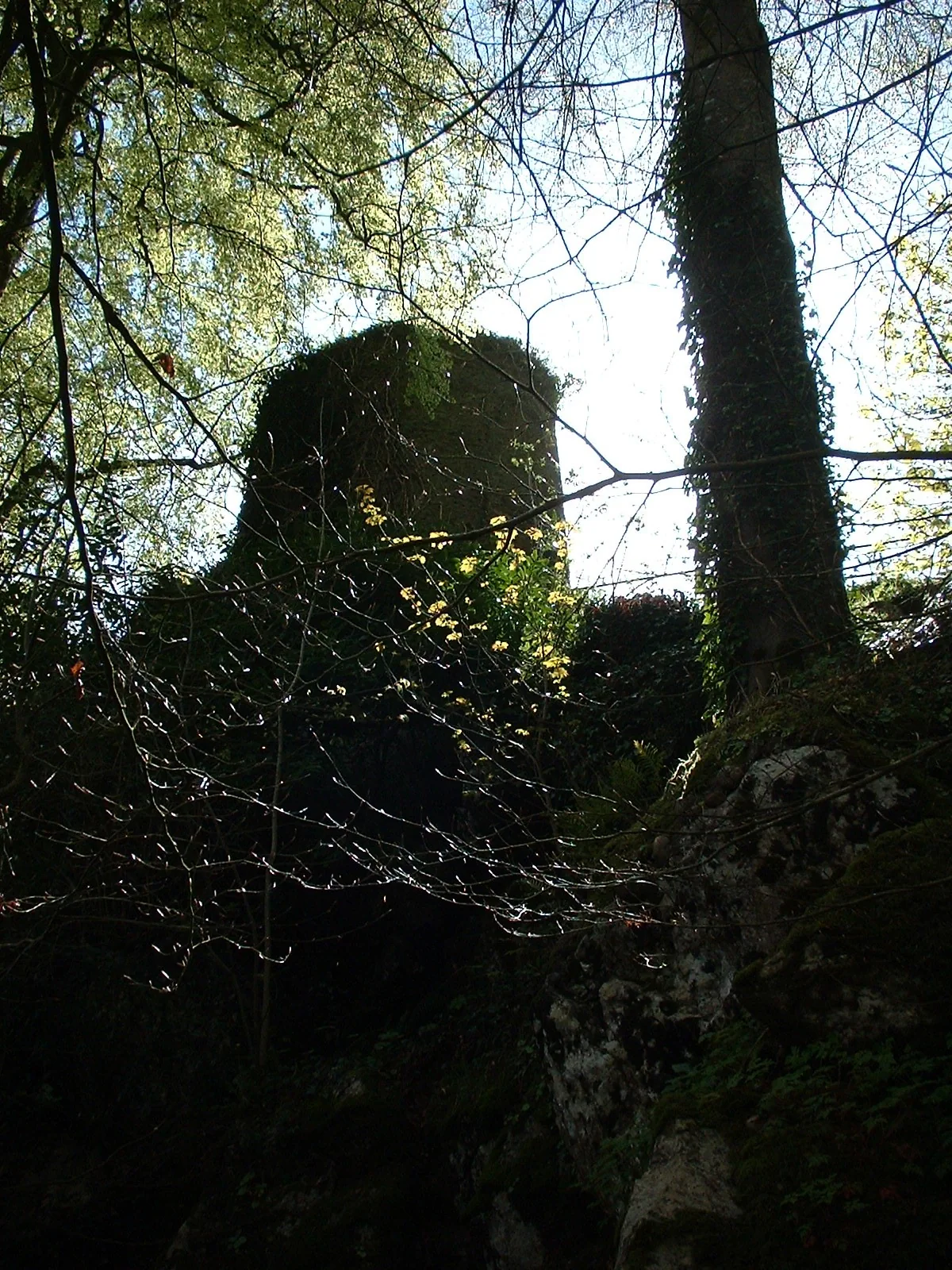 Dscf0028