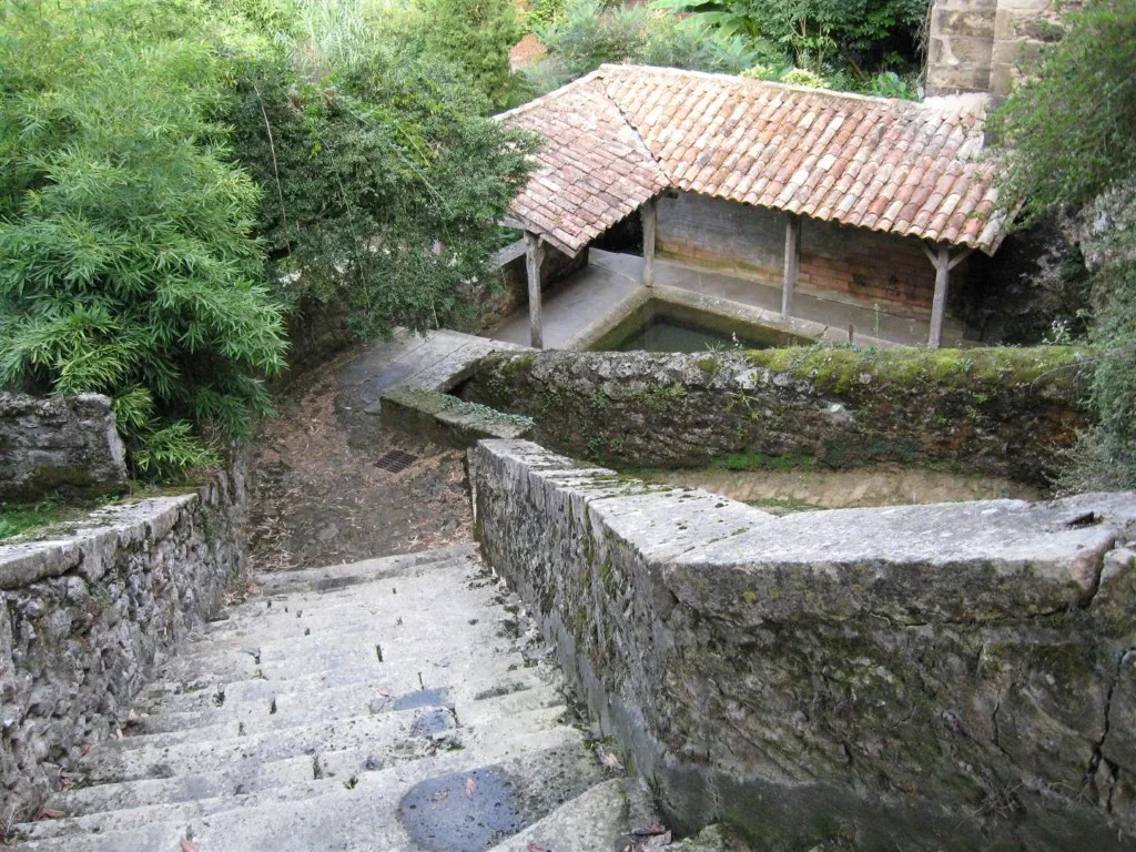 Img 0089