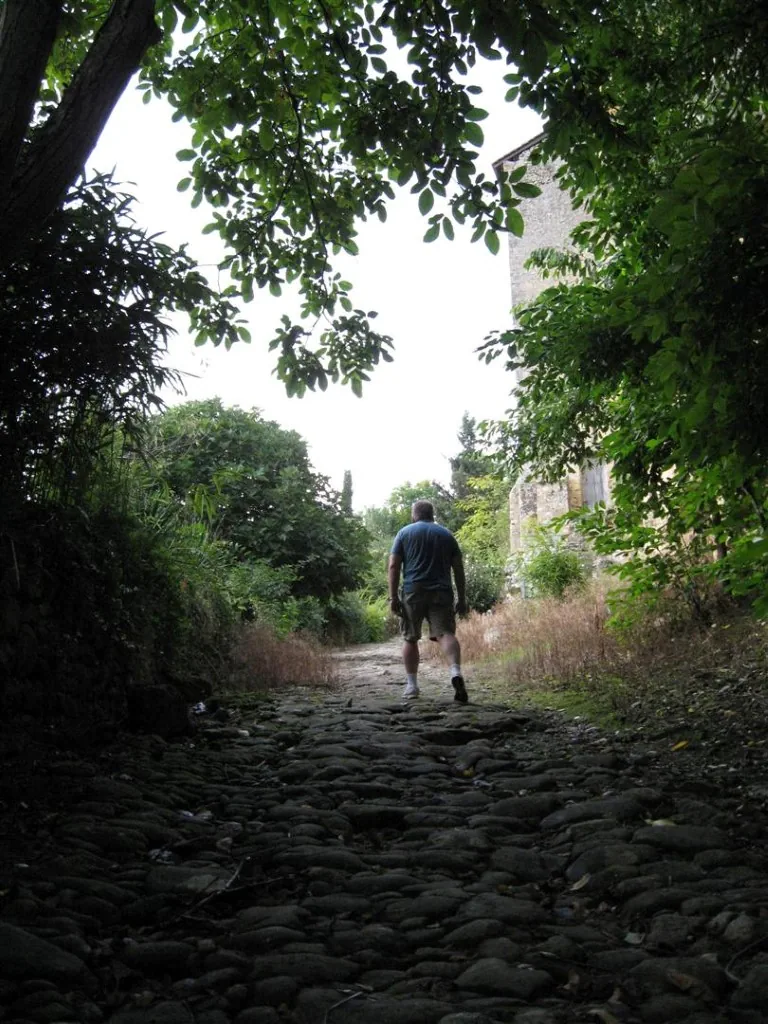 Img 0105