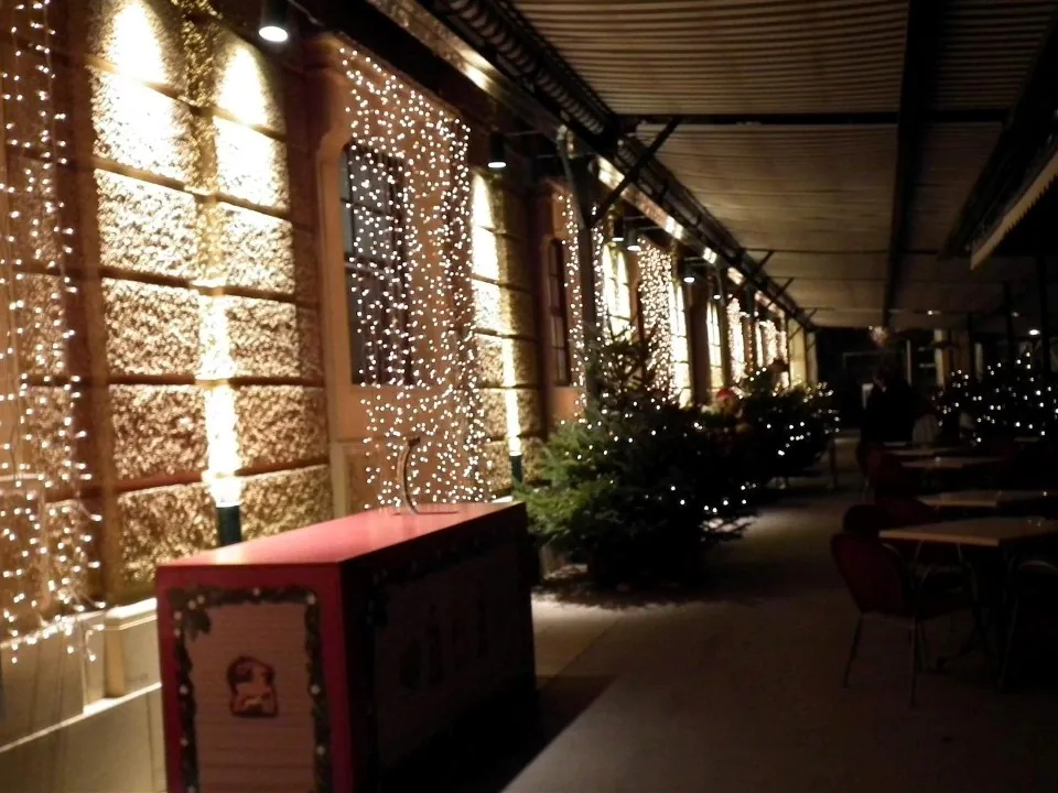 Austria Vienna for Christmas