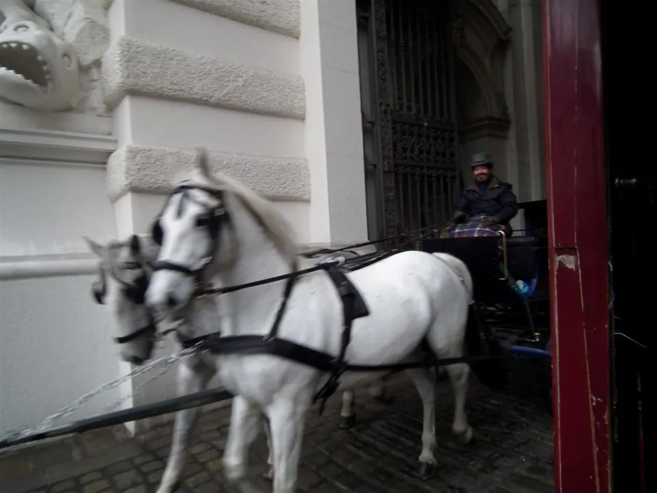 Austria Vienna for Christmas