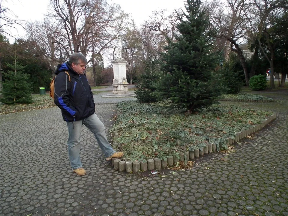 Austria Vienna for Christmas