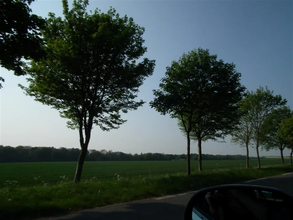 Rouen 2011 183 20130219 1257701147