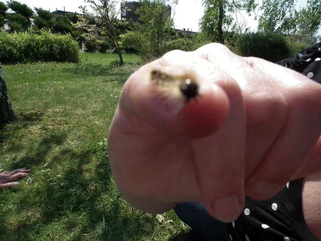 Rouen 2011 28 20130219 1565395839