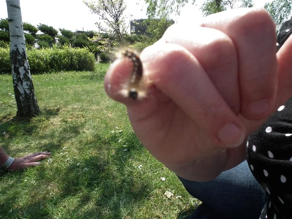 Rouen 2011 29 20130219 2015373628