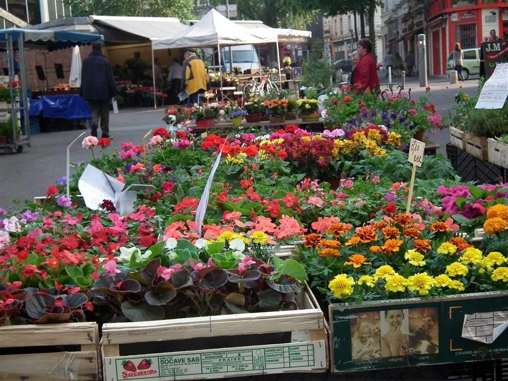 Rouen 2011 90 20130219 1688867436