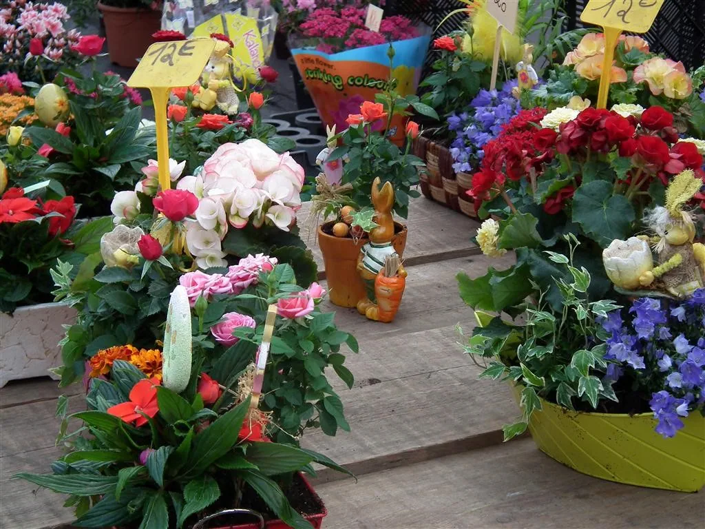 Rouen 2011 92 20130219 1276695066