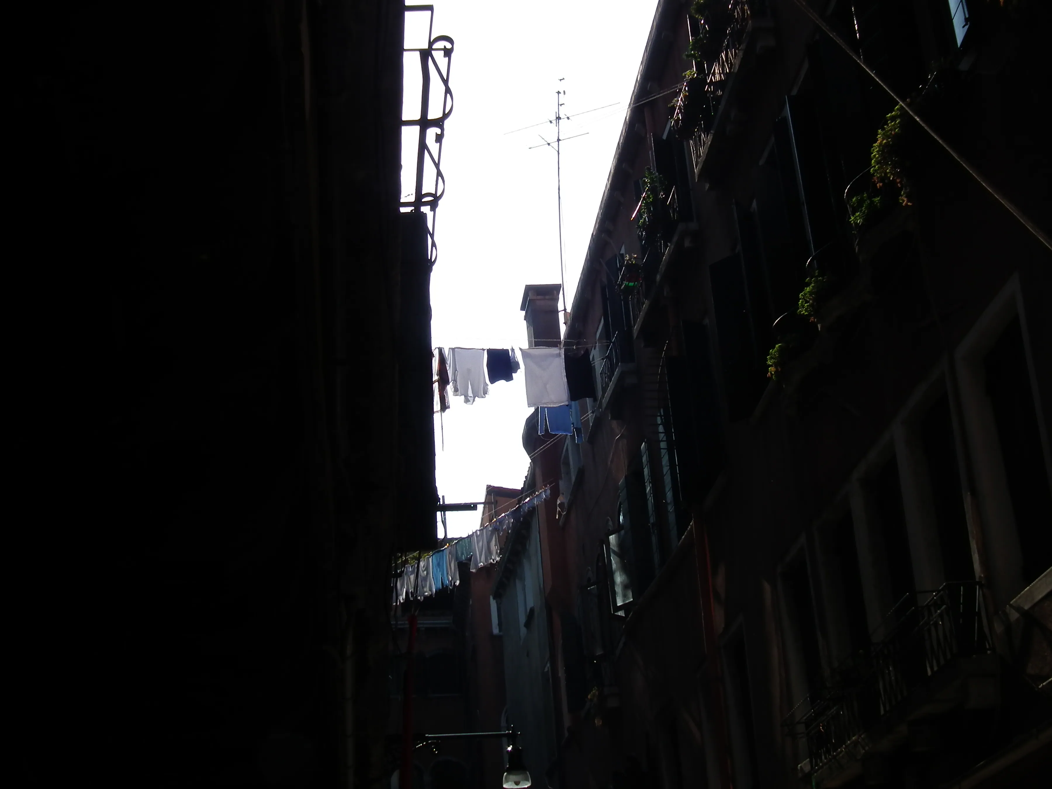 Dscf1389