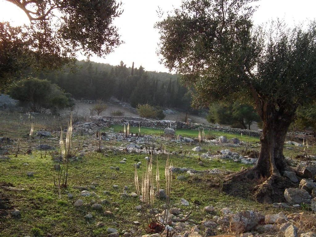 Dscf4021