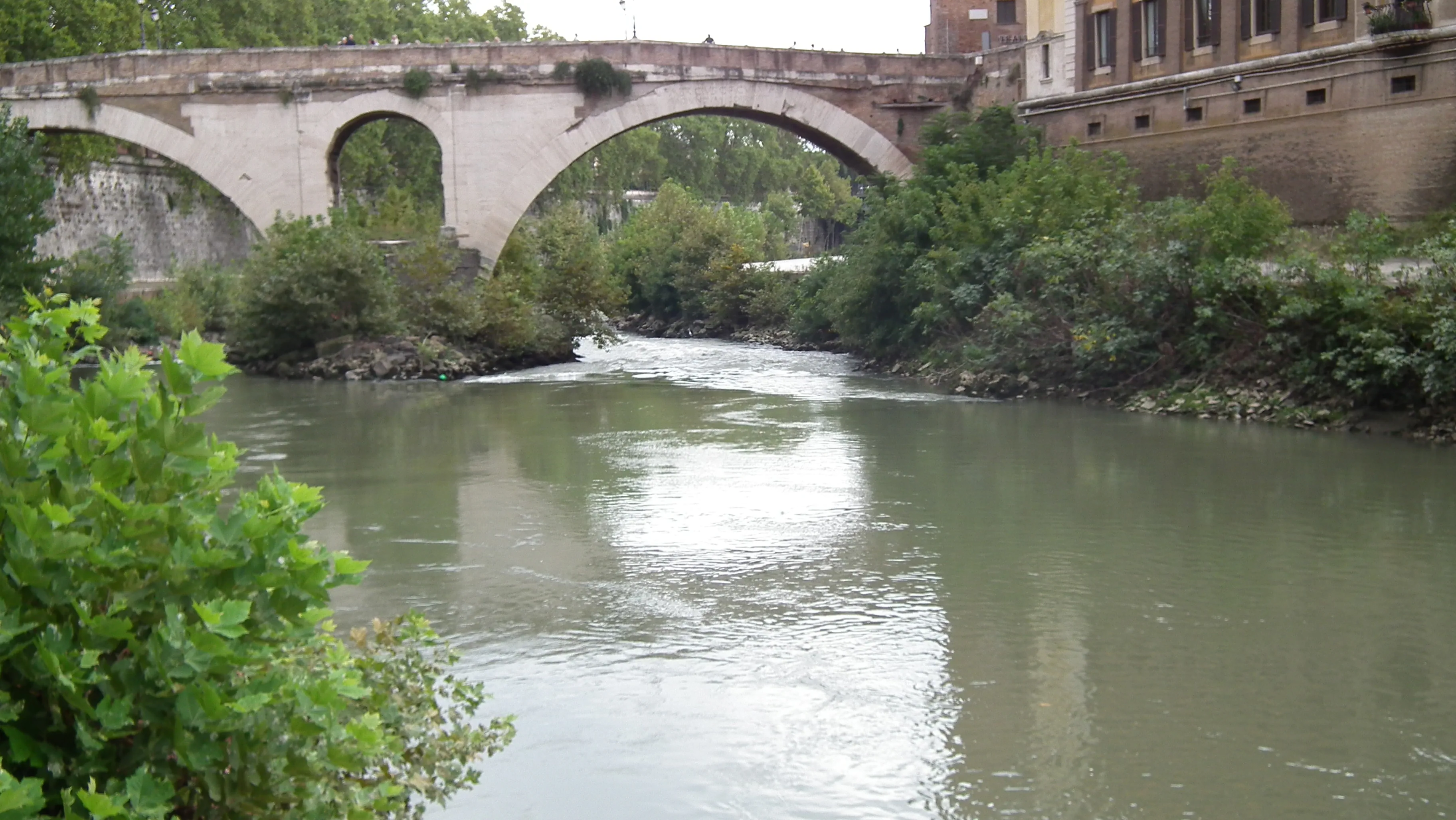 Dscf4559