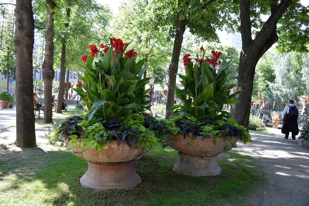 G19.3 tivoli gardens wed 19 jul 14