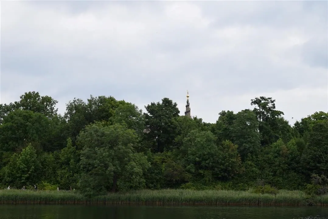 G19 torvehallerne market for breakfast wed 19 jul 1