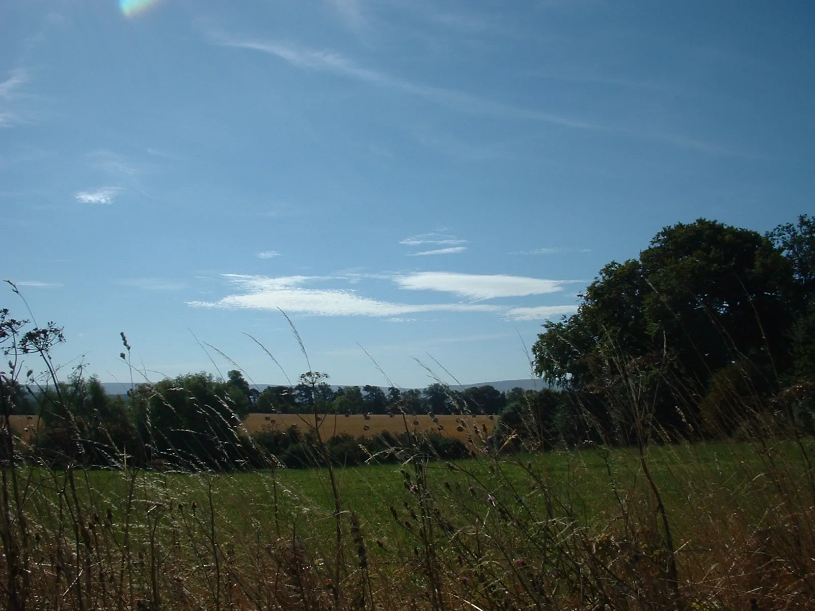 Dscf0038