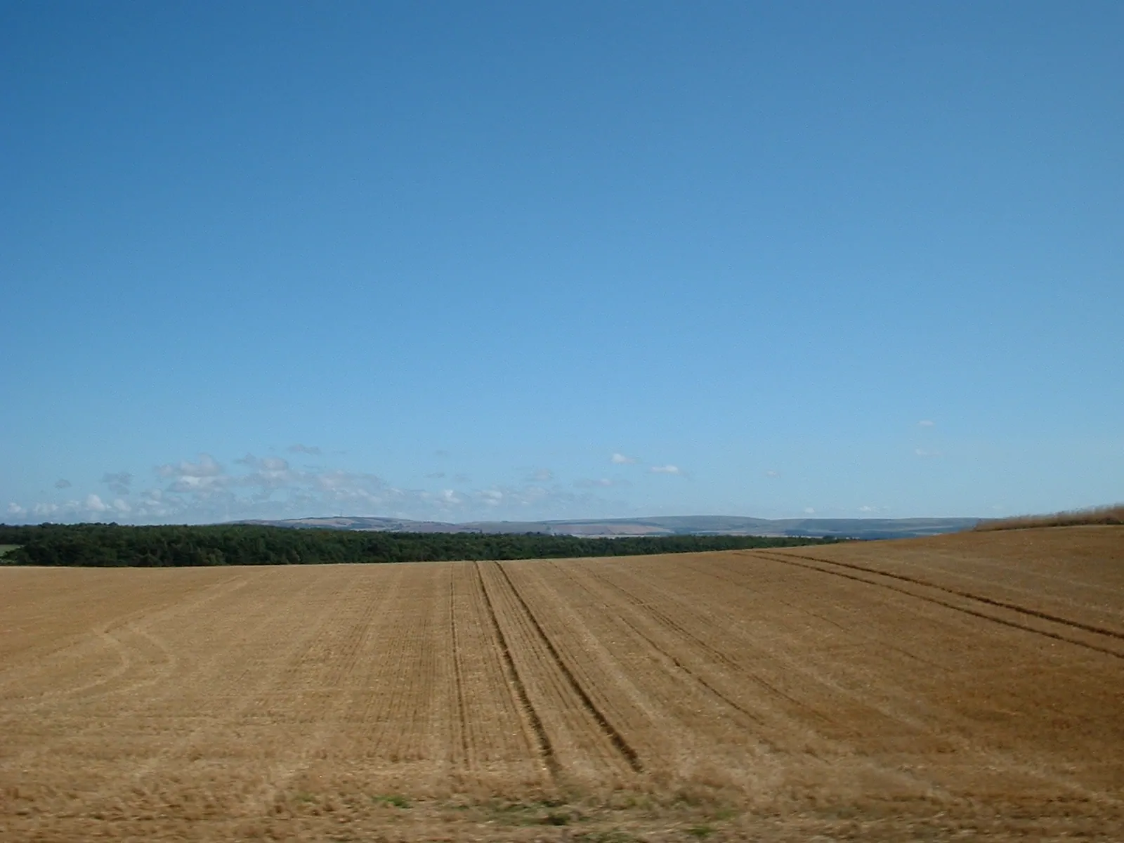 Dscf0062