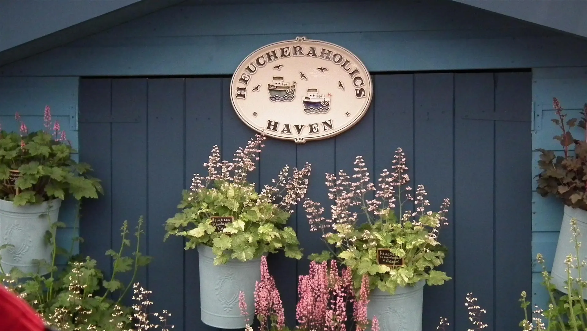 Dscf5318