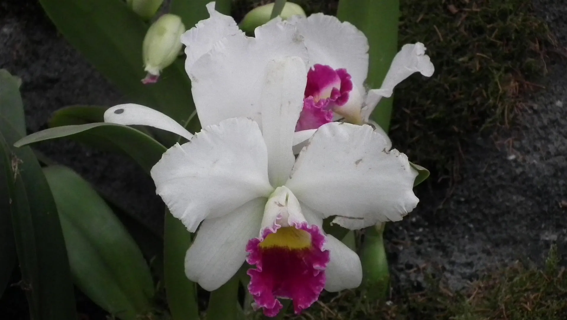 Dscf5470