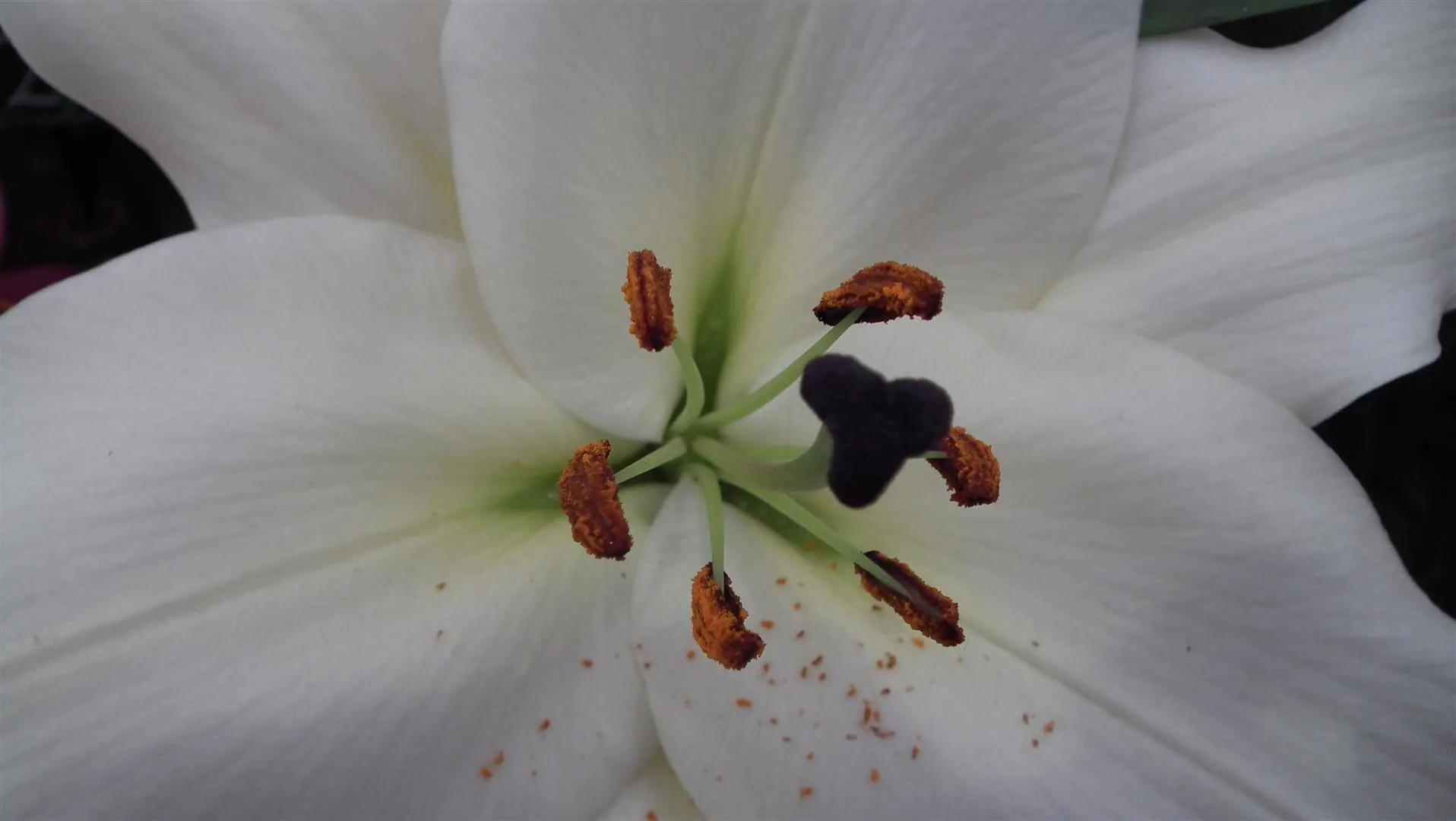 Dscf5482