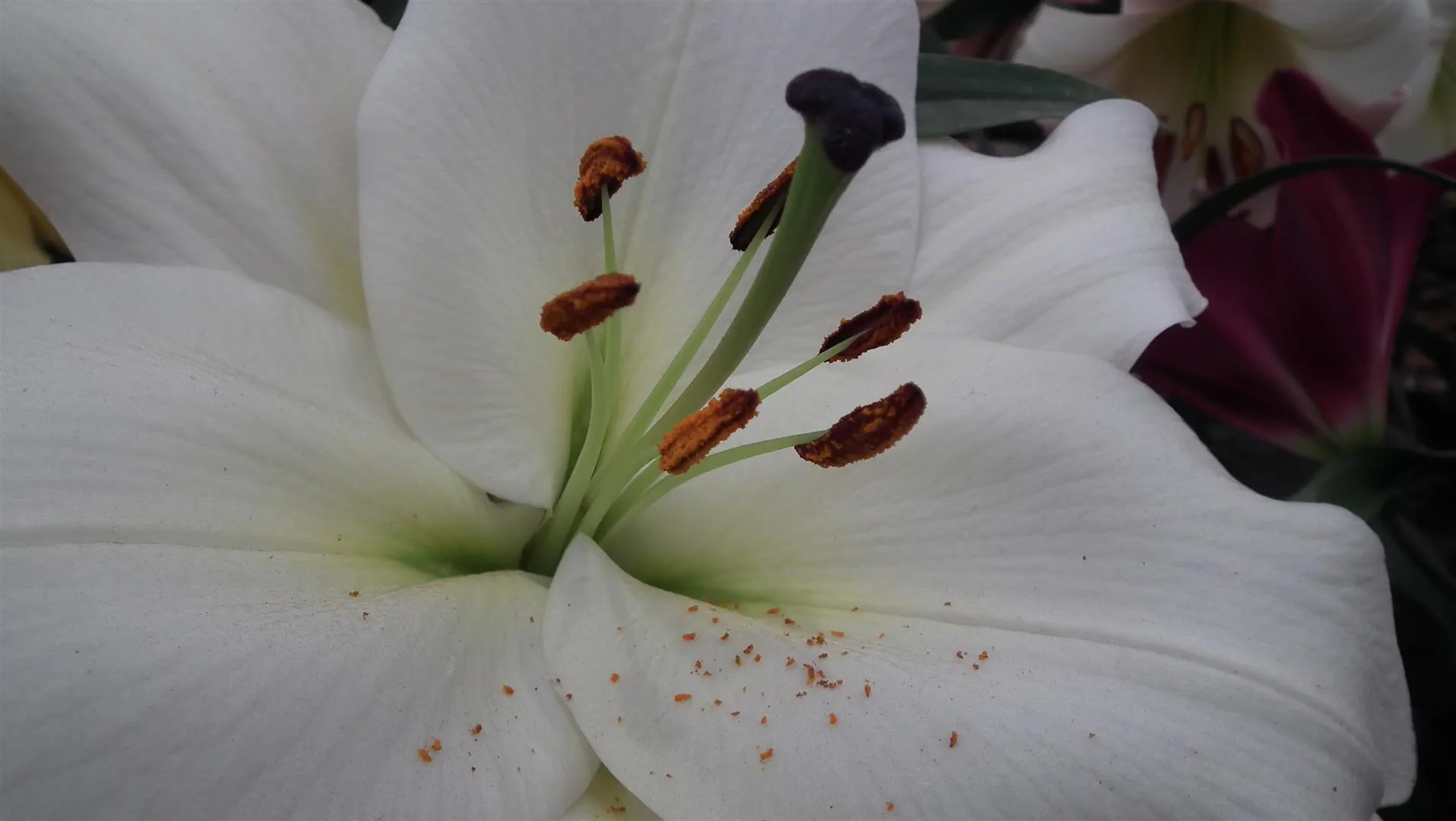Dscf5483