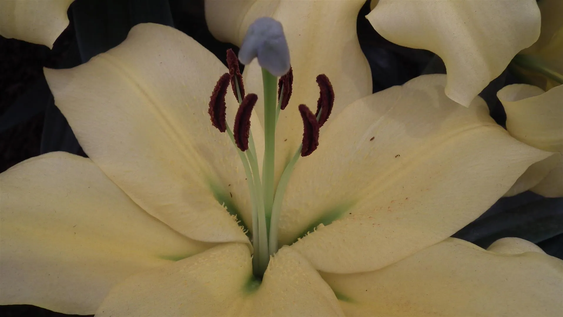 Dscf5489