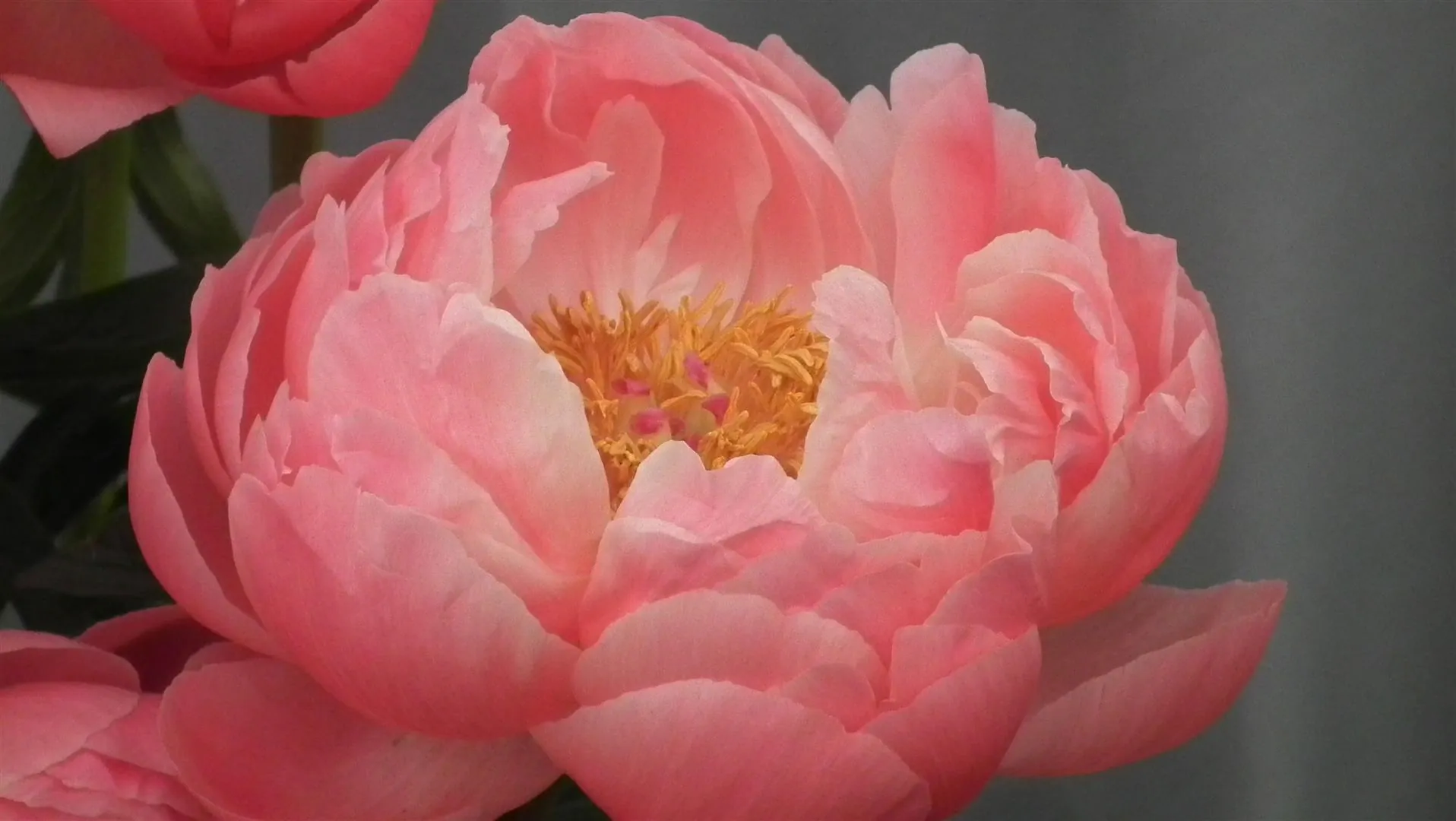 Dscf5493