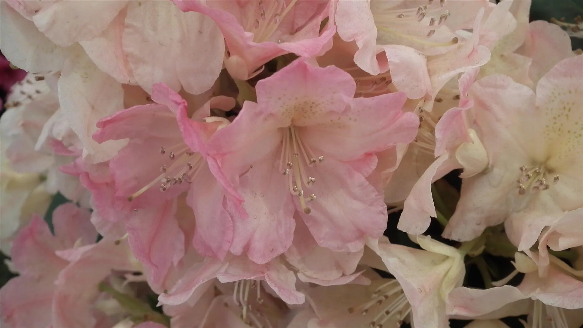 Dscf5543