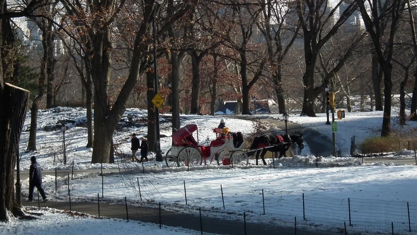Central Park in the Snow