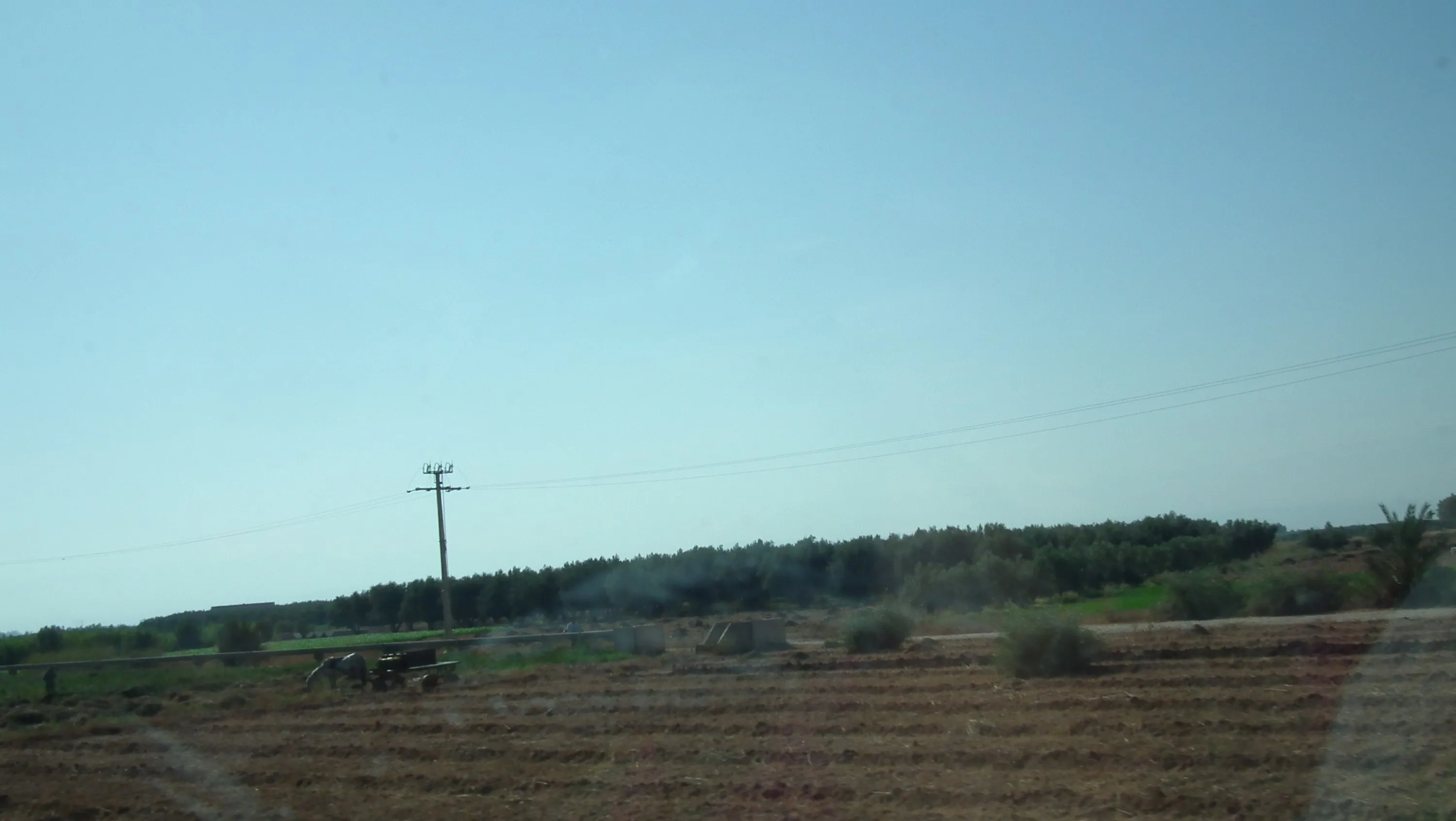 DSCF1406