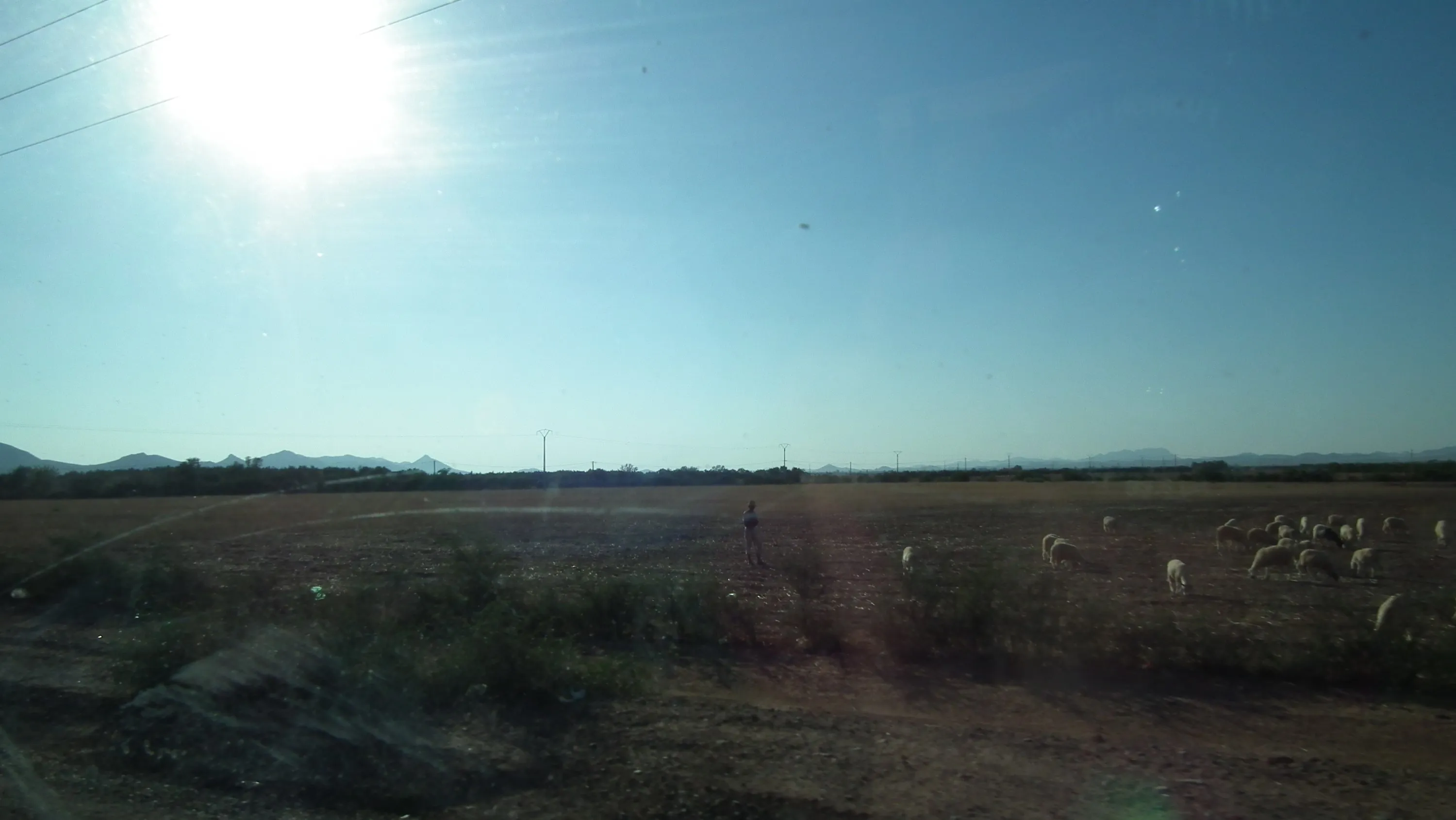 DSCF1489