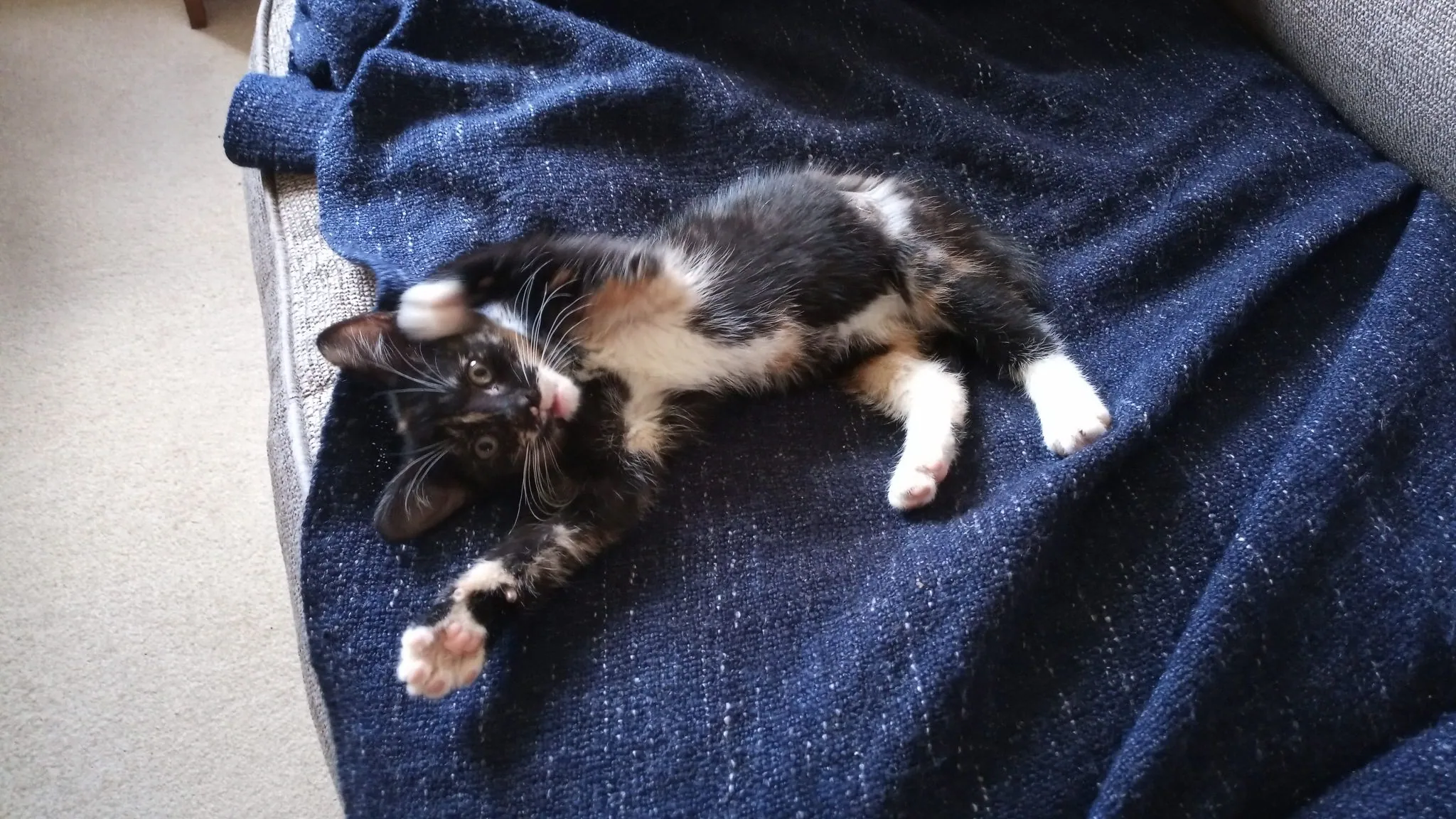 Img 20200118 162708 4