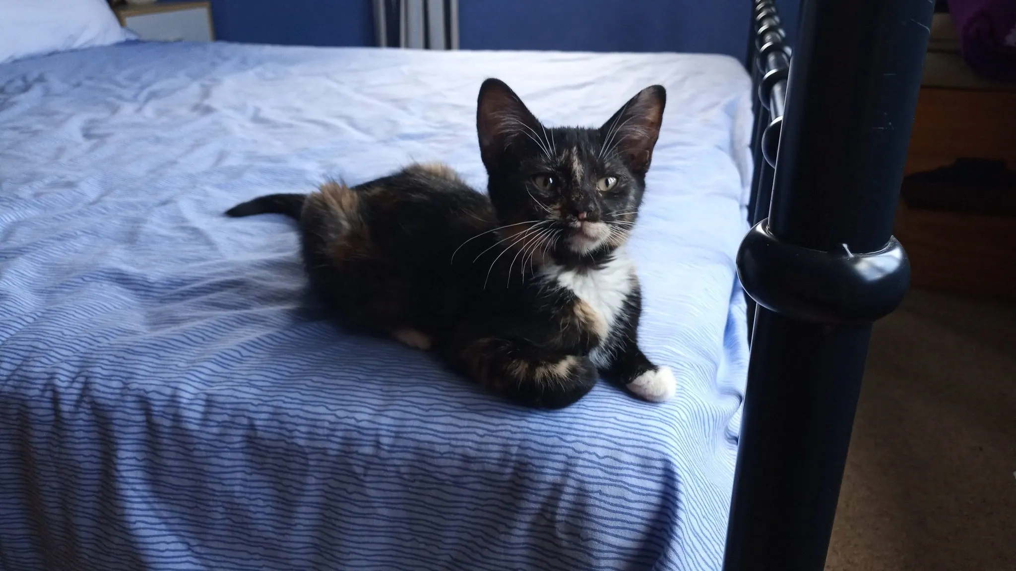 Img 20200209 120634 2