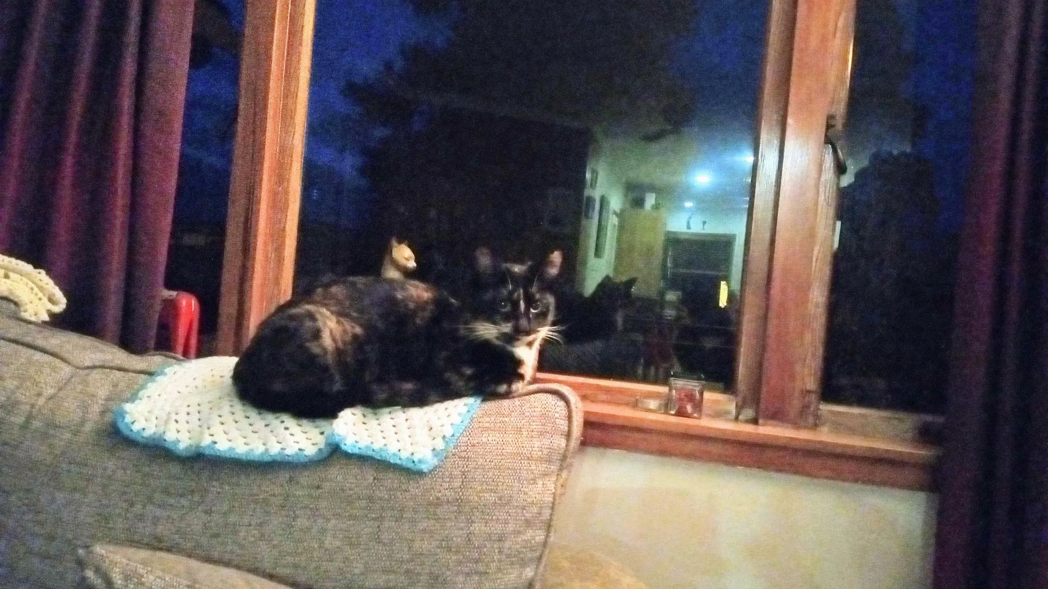 Img 20200724 063849 4