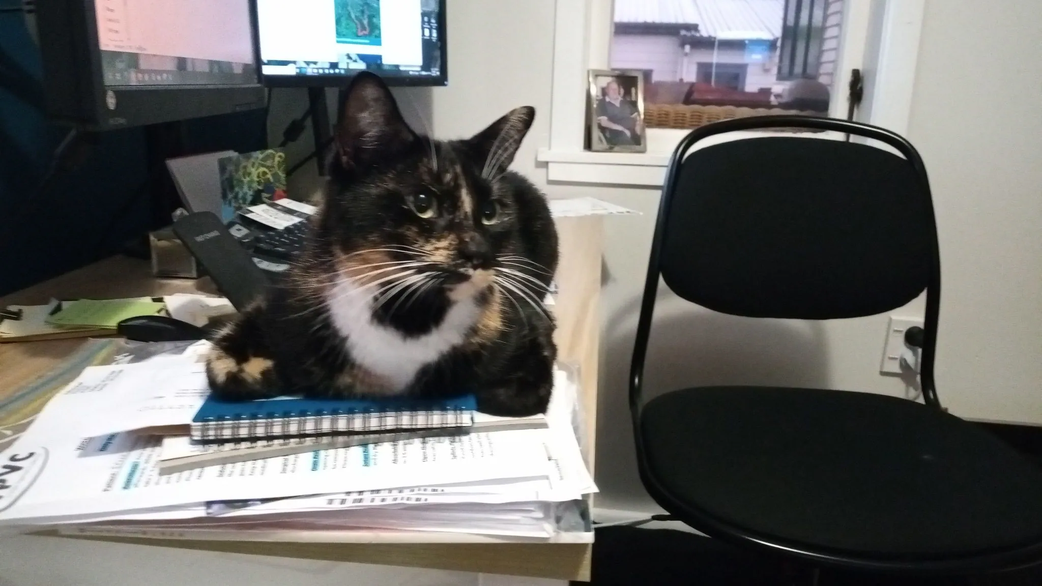 Img 20210717 171816 5