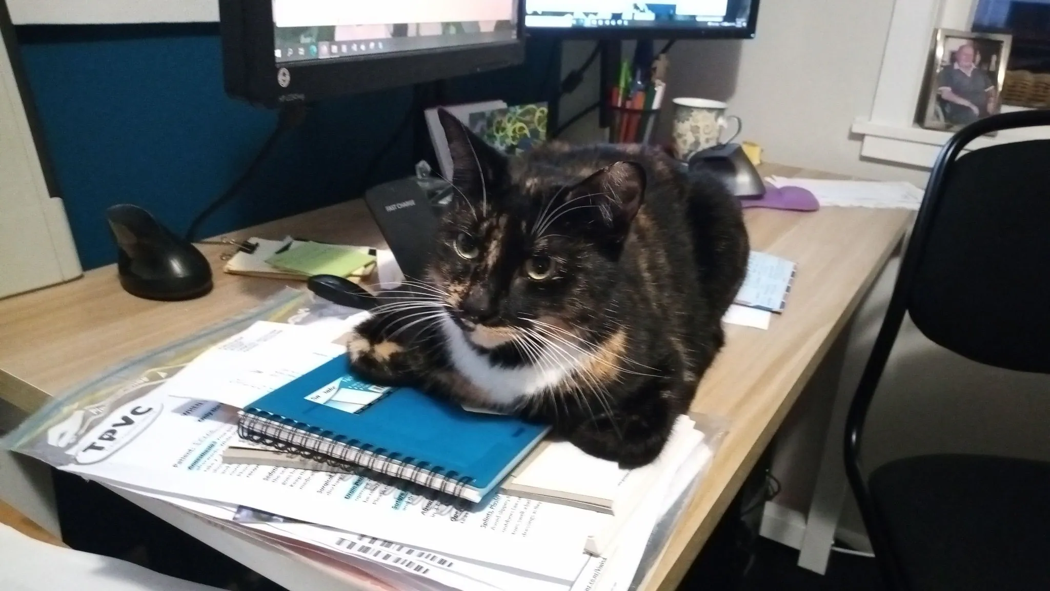 Img 20210717 172032 7